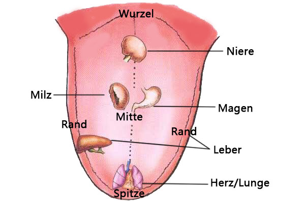 Zungendiagnose